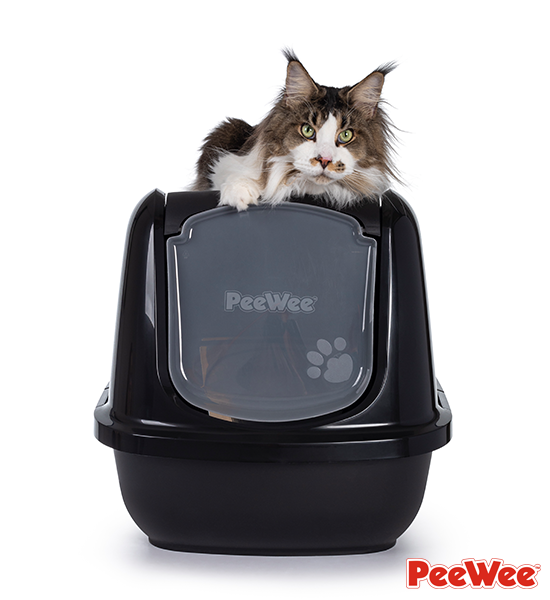 le chat se couche sur le grand bac à litière fermé PeeWee modèle EcoDome